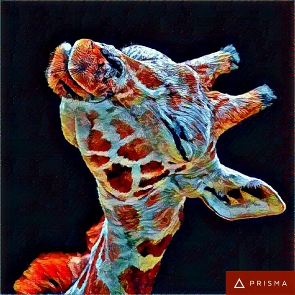 Meet your Posher, Janice - Picture 1 of 1